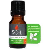 SOiL Organic Basil Essential Oil